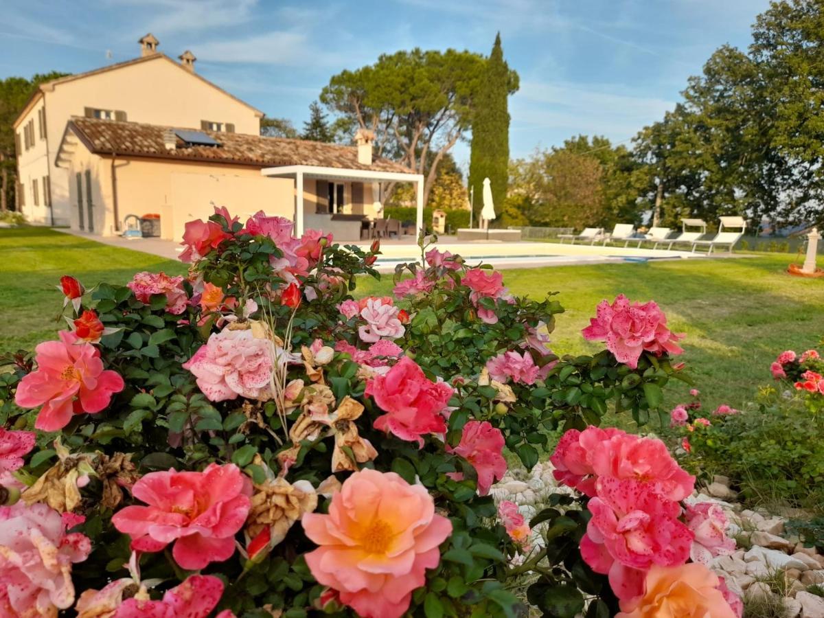 Relais Villa Sofia Calcinelli Exteriér fotografie